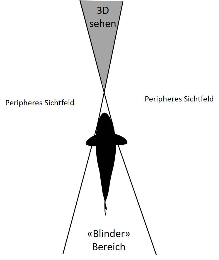 Erklärung des Sichtfelds